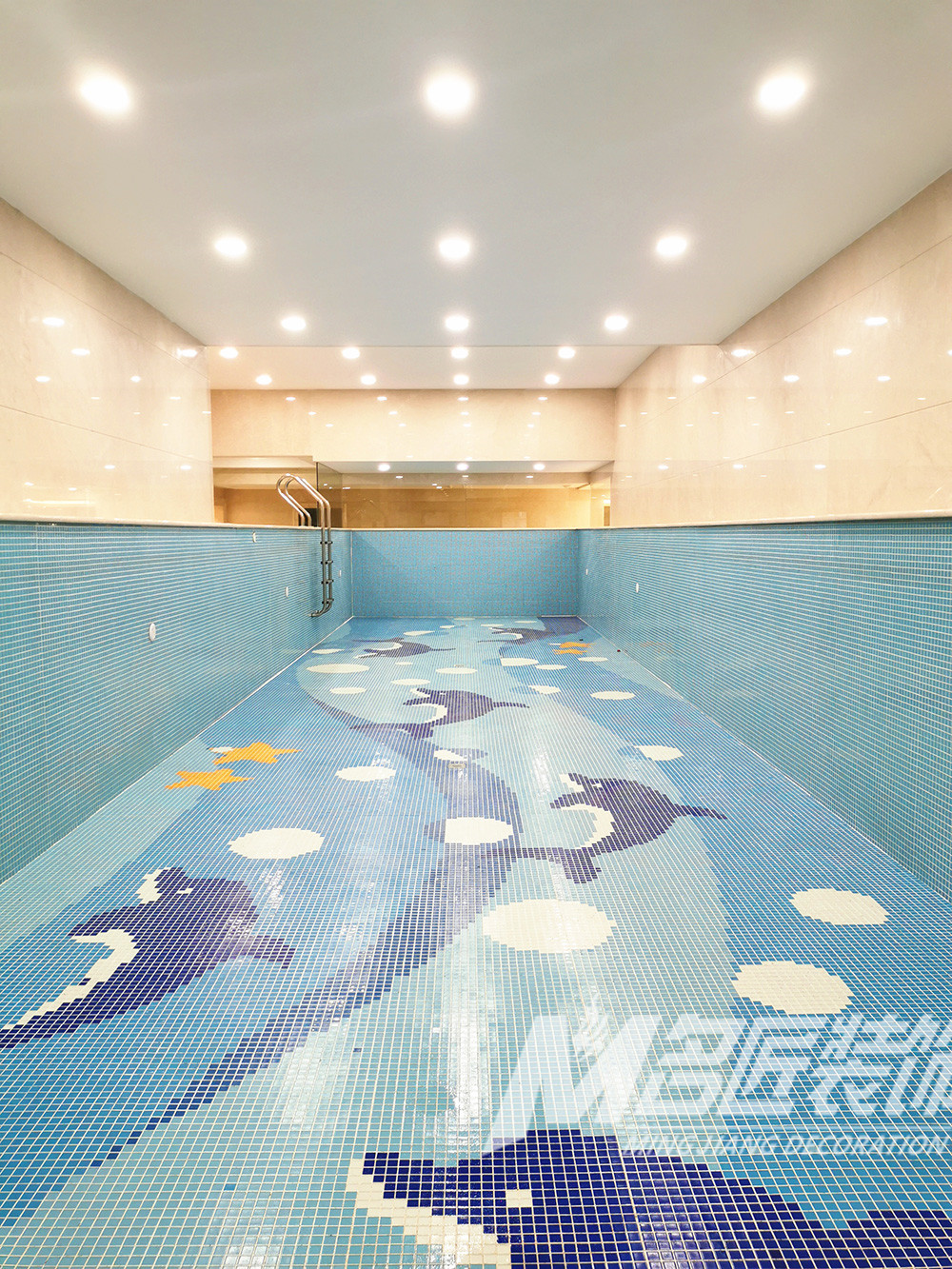 欧式别墅装修设计-游泳区泳池